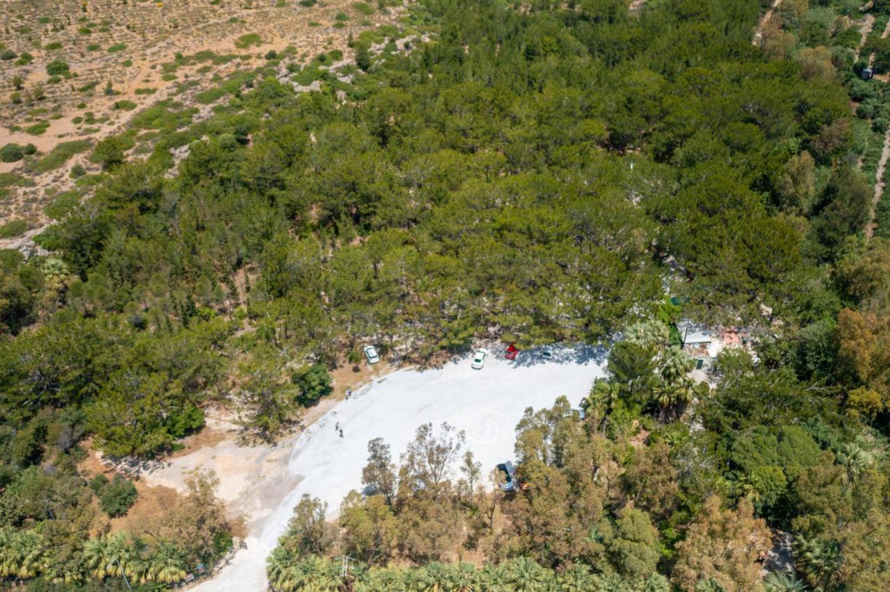 Sea View Pine House Βίλα Μακρύγιαλος Εξωτερικό φωτογραφία